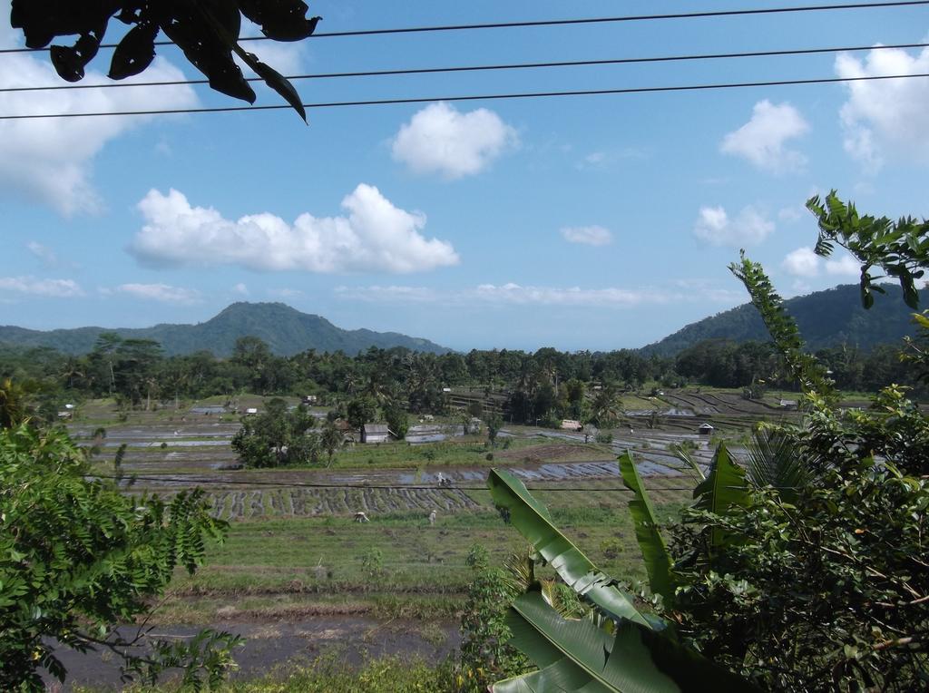 Lila Stana - Sidemen Homestay Exterior photo