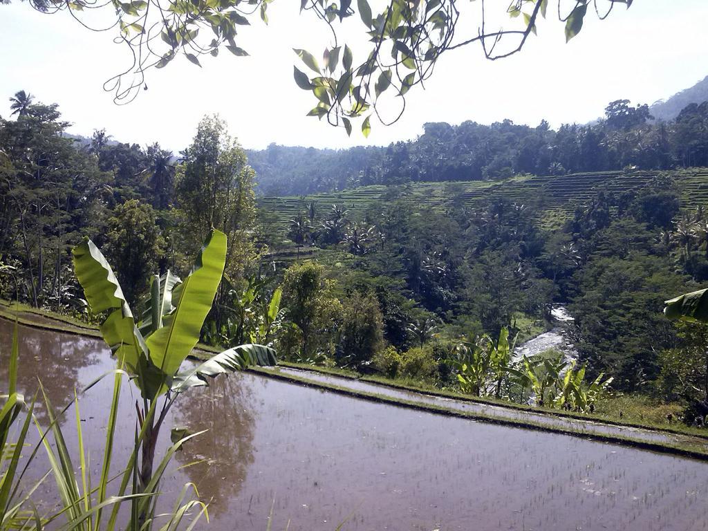 Lila Stana - Sidemen Homestay Exterior photo